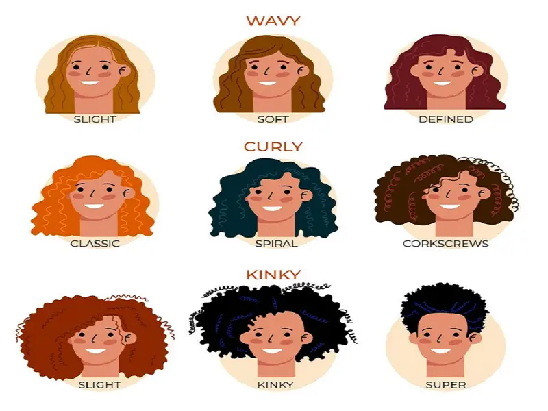 Les types de cheveux en anglais